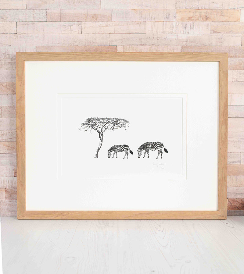 Zebra Limited Edition Print