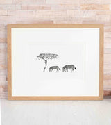 Zebra Limited Edition Print