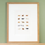 Cows Limited Edition Print, 15 Cows