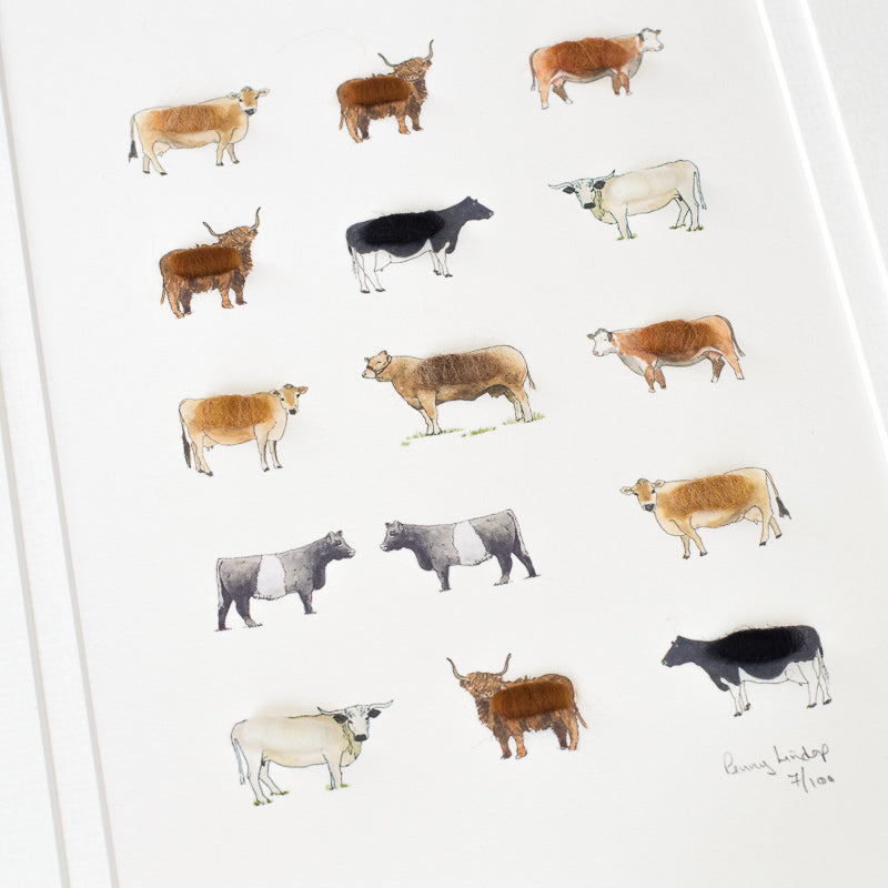 Cows Limited Edition Print, 15 Cows