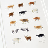 Cows Limited Edition Print, 15 Cows