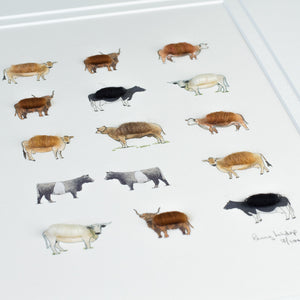 Cows Limited Edition Print, 15 Cows