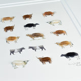 Cows Limited Edition Print, 15 Cows