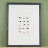 Pigs Limited Edition Print