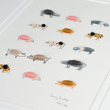 Pigs Limited Edition Print