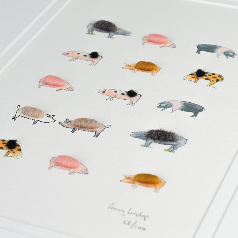 Pigs Limited Edition Print