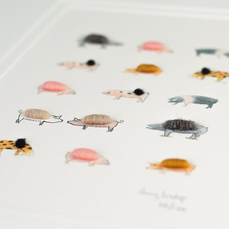 Pigs Limited Edition Print