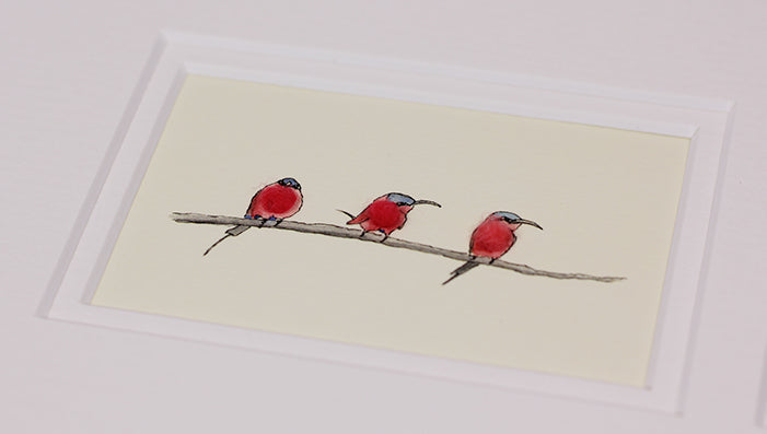 Framed Gift Cards - Exotic Birds