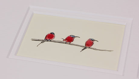 Framed Gift Cards - Exotic Birds