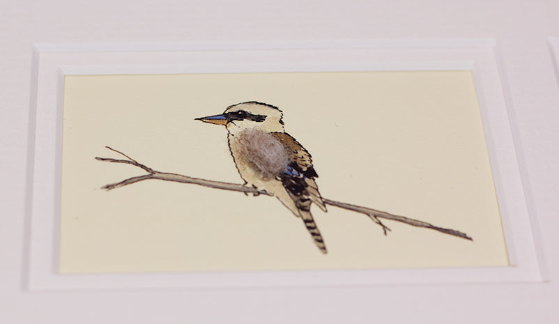 Framed Gift Cards - Exotic Birds