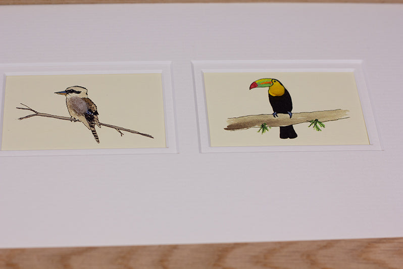 Framed Gift Cards - Exotic Birds
