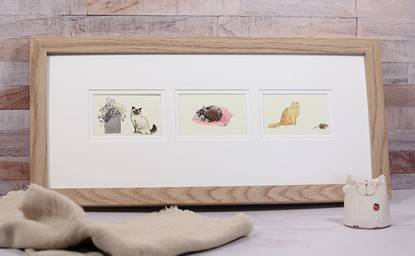 Framed Gift Cards - Cats