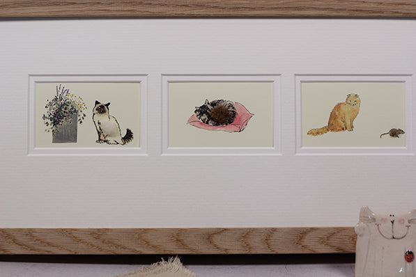 Framed Gift Cards - Cats