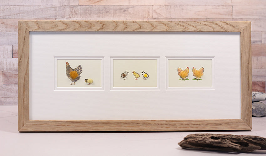 Framed Gift Cards - Chickens