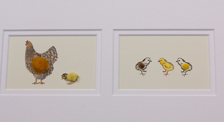 Framed Gift Cards - Chickens