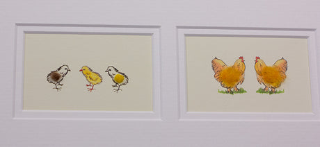 Framed Gift Cards - Chickens