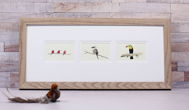 Framed Gift Cards - Exotic Birds