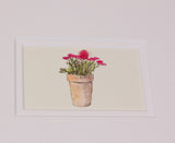 Framed Gift Cards - Flowers