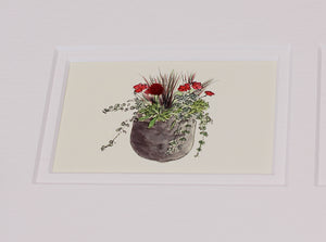 Framed Gift Cards - Flowers