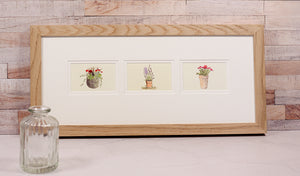 Framed Gift Cards - Flowers