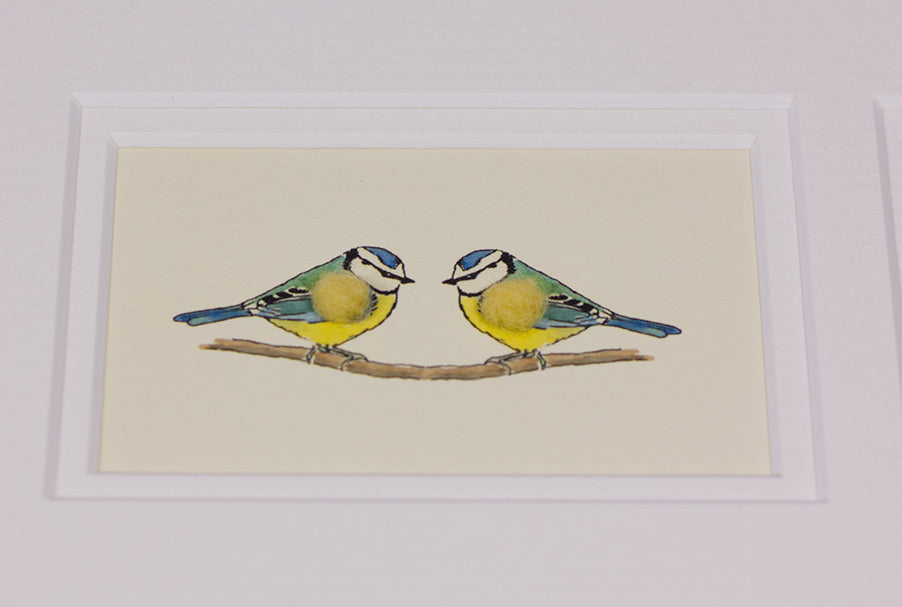 Framed Gift Cards - Garden Birds
