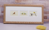 Framed Gift Cards - Garden Birds