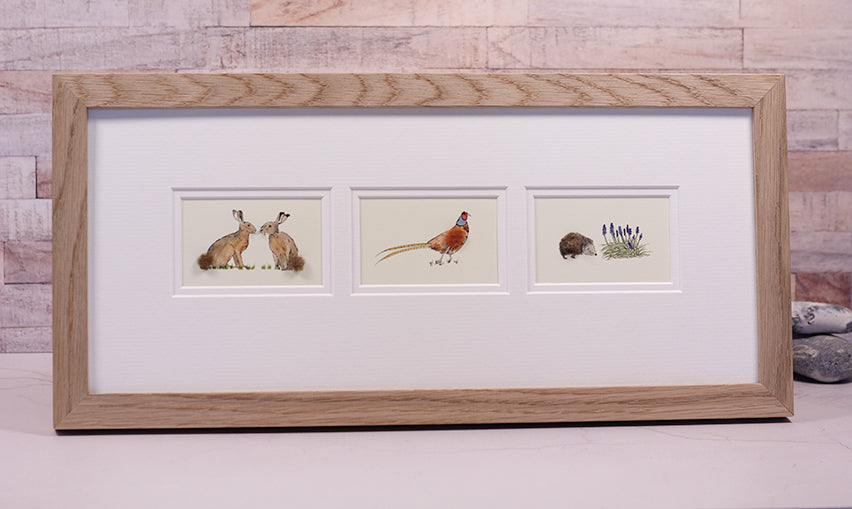 Framed Gift Cards - UK Wildlife