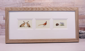 Framed Gift Cards - UK Wildlife