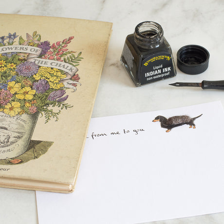 Dachshund Notecards, Boxed Set of 10