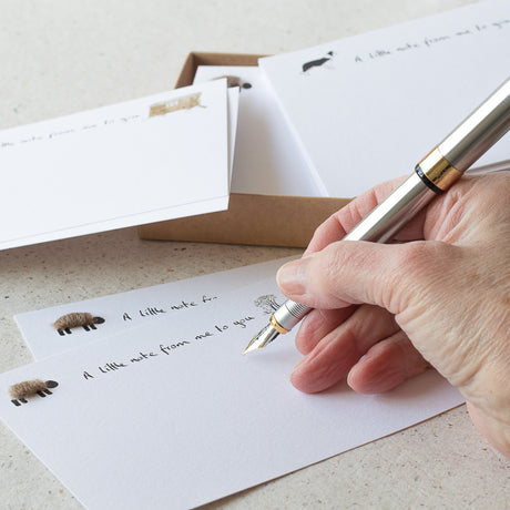 Sheep Notecards, Boxed set of 10