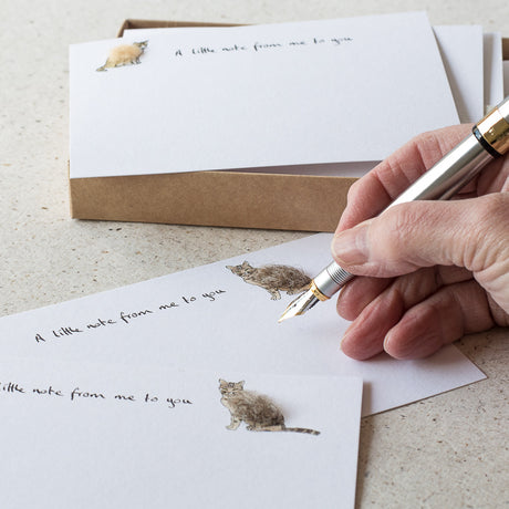 Cat Notecards, Boxed set of 10