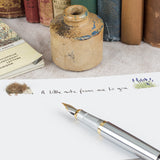 Hedgehog Notecards, Boxed set of 10