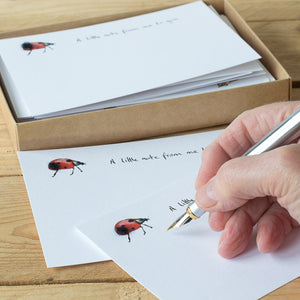 Ladybird Notecards, Boxed Set of 10