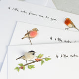 Garden Bird Notecards, Boxed set of 10