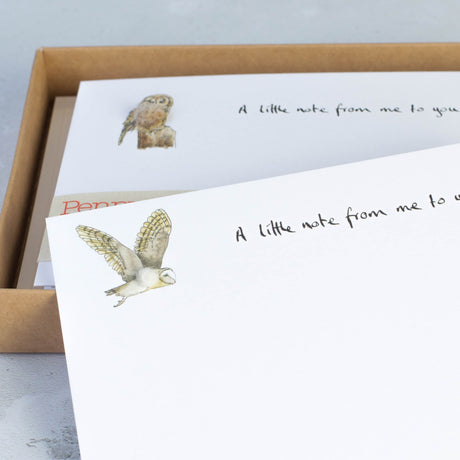 Owl Notecards, Boxed set of 10