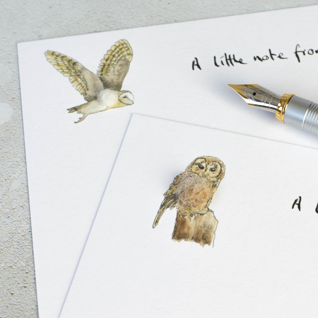 Owl Notecards, Boxed set of 10
