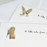 Owl Notecards, Boxed set of 10