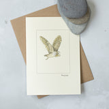Barn Owl Card