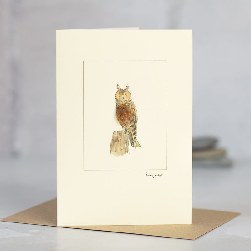 Long-eared Owl greetings card