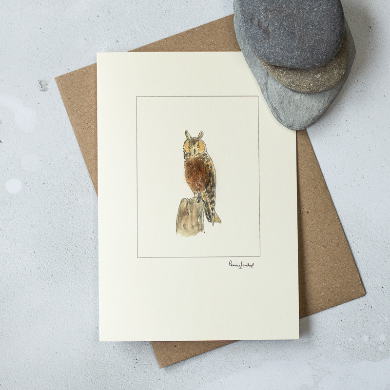 Long-eared Owl greetings card