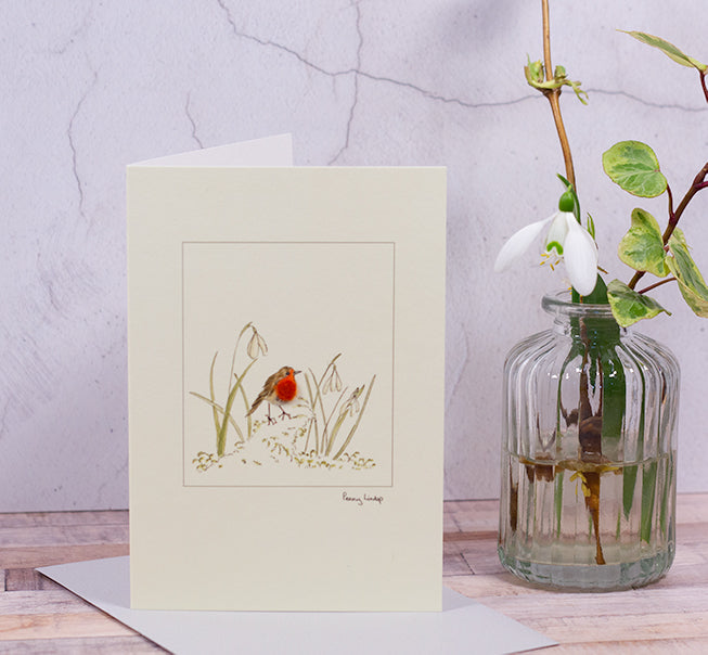 Snowdrop and Robin card
