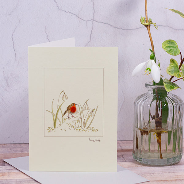 Snowdrop and Robin greetings card