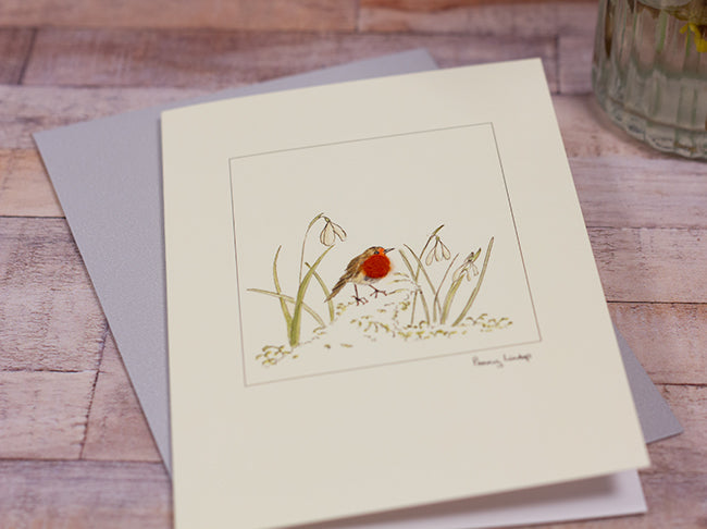 Snowdrop and Robin greetings card