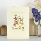 Hellebores card
