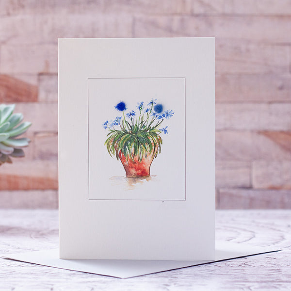 Pot of Agapanthus greetings card