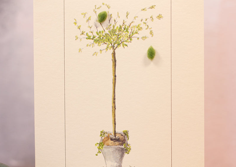 Willow in a Pot card