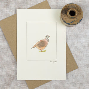 Partridge greetings card