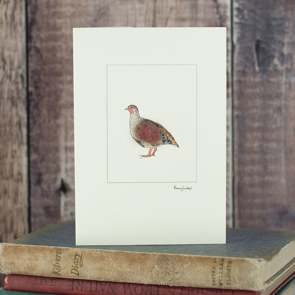 Grey Partridge Card
