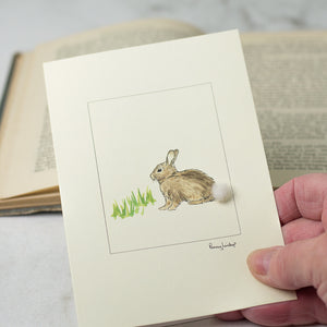 Rabbit greetings card - rabbit in the grass