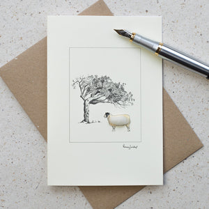Sheep greetings card - mule and windswept tree